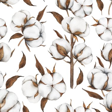 Pamuk Çiçekleri Kusursuz Arkaplan. Modaya uygun minimalist pamuk topları olan botanik arka plan. Çiçekli Suluboya Çizimi. El boyası suluboya pamuk dallar.