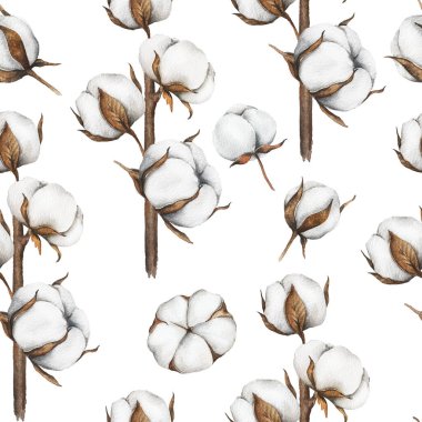 Pamuk Çiçekleri Kusursuz Arkaplan. Modaya uygun minimalist pamuk topları olan botanik arka plan. Çiçekli Suluboya Çizimi. El boyası suluboya pamuk dallar.