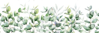 Yeşillikli kusursuz okaliptüs Garland. Botanik Kusursuz Yatay Arkaplan. Okaliptüs Suluboya Çizimi. Okaliptüs Dalları Tasarımı. Yeşil çelenkler pürüzsüz. Okaliptüs Kenarlık Çerçevesi