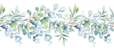 Yeşillikli kusursuz okaliptüs Garland. Botanik Kusursuz Yatay Arkaplan. Okaliptüs Suluboya Çizimi. Okaliptüs Dalları Tasarımı. Yeşil çelenkler pürüzsüz. Okaliptüs Kenarlık Çerçevesi