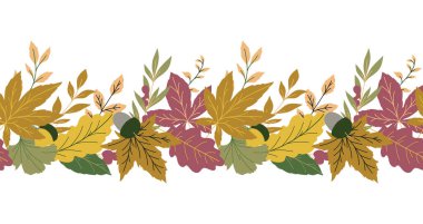 Sonbahar illüstrasyon bırakır. Beyaz arka planda kusursuz sonbahar yaprakları. Bayram kartları, şablonlar, şükran günü tasarımları için sonbahar grafikleri. Yaprak Düz Resim