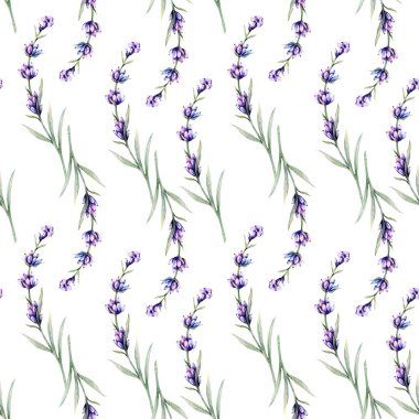 El Çizimi Çiçek Arkaplanı. Lavanta desensiz. Lavantalı suluboya. Provence Çiçekleri Yazdırma. Duvar kağıtları, tekstil, kartlar, etiketler için lavanta deseni