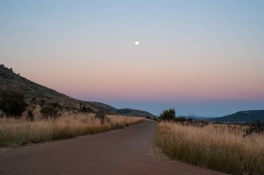 The moon rises over the horizon at Pilanesberg National Park, situated in an ancient volcanic crater in South Africa clipart