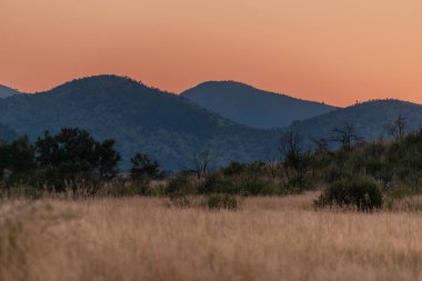 A warm sunset sky glows over blue hills at Pilanesberg National Park, situated in an ancient volcanic crater in South Africa clipart
