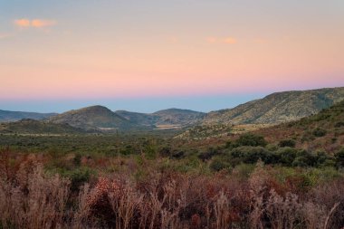 A pink sky glows over hills and lush vegetation at Pilanesberg National Park, situated in an ancient volcanic crater in South Africa clipart