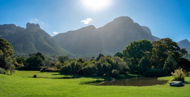 Güney Afrika 'daki Cape Town' daki Kirstenbosch Ulusal Botanik Bahçeleri 'nde mavi gökyüzünün altındaki çim, gölet, ağaçlar ve dağların manzarası