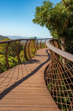 Güney Afrika 'daki Cape Town' daki Kirstenbosch Ulusal Botanik Bahçeleri 'nde mavi bir gökyüzünün altında sarmal bir tepe yolu.