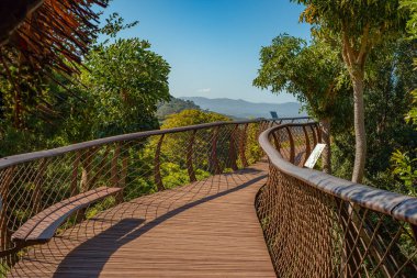 Güney Afrika 'daki Cape Town' daki Kirstenbosch Ulusal Botanik Bahçeleri 'nde mavi bir gökyüzünün altında sarmal bir tepe yolu.
