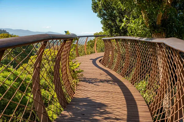 Güney Afrika 'daki Cape Town' daki Kirstenbosch Ulusal Botanik Bahçeleri 'nde mavi bir gökyüzünün altında sarmal bir tepe yolu.