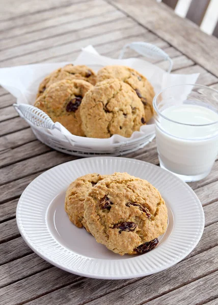 Oat Wheat Germ Cookies Sultana — Stock Photo, Image