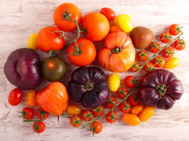 Renkli farklı domateslerin karışımı.