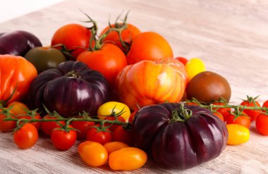 Renkli farklı domateslerin karışımı.