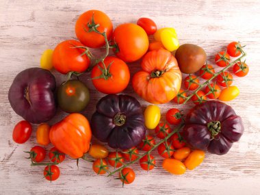 Renkli farklı domateslerin karışımı.