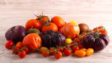 Renkli farklı domateslerin karışımı.