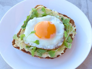 Humus, mikro yeşil ve sahanda yumurta dilimlenmiş kahverengi ekmek dilimi. Sağlıklı kahvaltı.