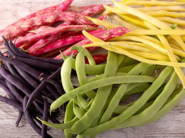 Fasulye Bitkisi Çeşitleri: farklı fasulye türleri