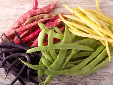 Fasulye Bitkisi Çeşitleri: farklı fasulye türleri