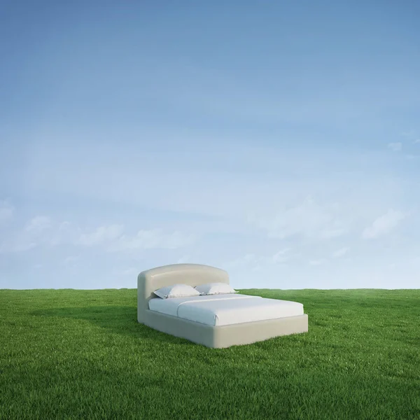 Bed Green Meadow Grass Blue Sky Background Rendering —  Fotos de Stock