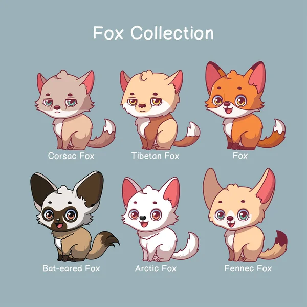 Colección Fox Ilustraciones Con Nombre Texto — Vector de stock