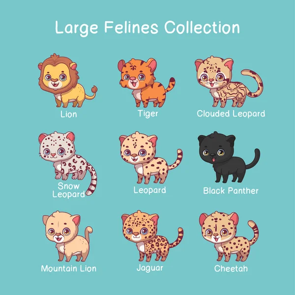 Big Feline Illustrations Name Text — Stock Vector
