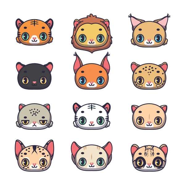 Collection Twelve Cute Feline Species — Vetor de Stock