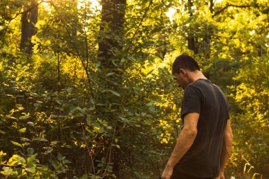 Bir turist akşamları parkta ya da ormanda yürür. Güneş yaprakların arasından doğuyor..