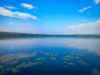 Ayna nehri ve mavi gökyüzü. Yaz manzarası sabahın erken saatlerinde.