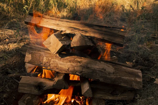 Brandende Houtblokken Sluiten Bonfire Voor Barbecue Picknickreis — Stockfoto