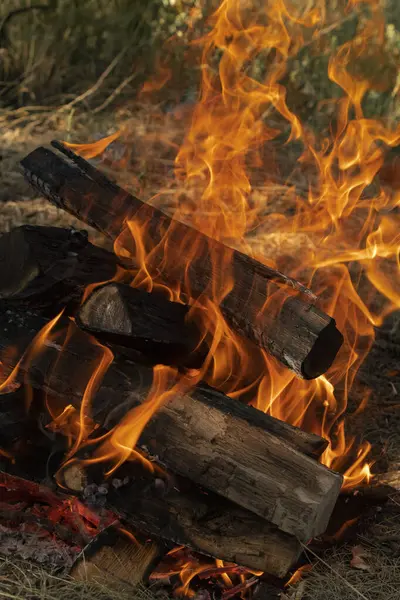 Spalování Dřeva Zblízka Zapálený Táborák Grilování — Stock fotografie