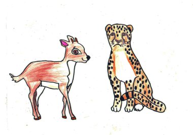 Hayvan resimleri çiziyorum. Kağıt üzerine renkli kalemlerle çizilmiş. Çita ve antilop.