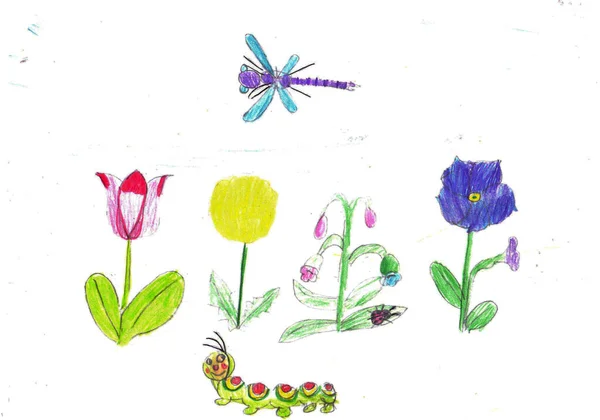 Детский Рисунок Карандашами Логово Цветов Гусениц Стрекоз Весна Природы Лесные — стоковое фото