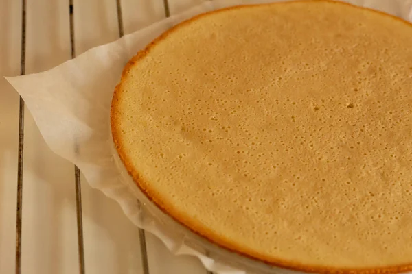 Torta Esponja Redonda Delgada Una Rejilla Alambre Productos Horneados Dulces — Foto de Stock