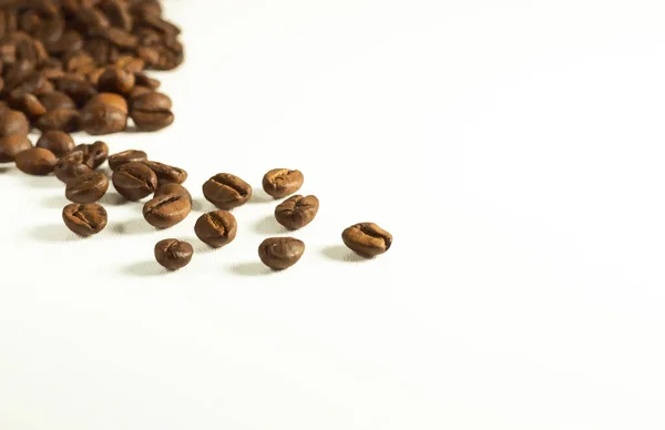 Scattered Coffee Beans White Background Space Writing Text Photo Minimalist Stock Picture