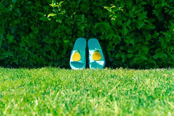 Para Niebieskich Sandałów Basenowych Tle Zielonych Liści Trawie Koncepcja Lata — Zdjęcie stockowe