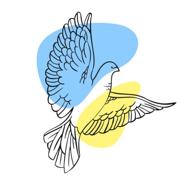 Soaring peace dove of Ukraine in line art style on a white background for print and design.Vector clipart. clipart