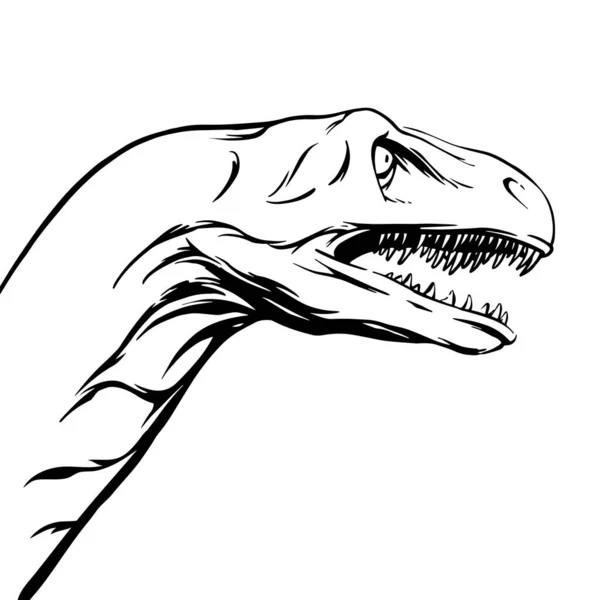 Menggambar Kepala Brontosaurus Yang Terisolasi Latar Belakang Putih Untuk Dicetak - Stok Vektor