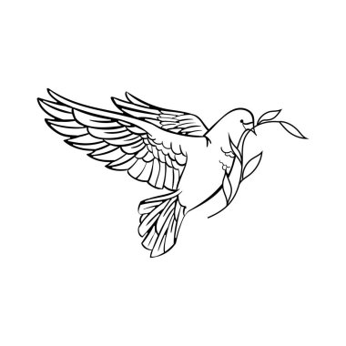 Barış sembolü çizimi, zeytin dalı ile güvercin. Vektör illüstrasyonu