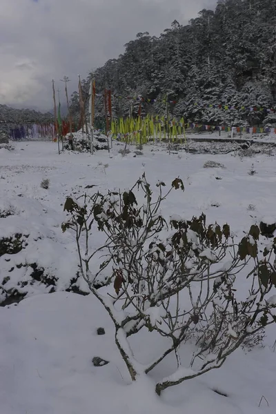 Красивая Долина Юмтанг Покрытая Снегом Зимний Сезон Живописная Долина Юмтанг — стоковое фото