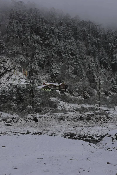 Hermosa Nieve Cubierta Valle Yumthang Temporada Invierno Valle Yumthang Escénico — Foto de Stock