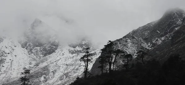 Nebbioso Innevato Montagne Himalaya Foresta Alpina Del Santuario Rododendro Vicino — Foto Stock