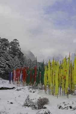 Kış mevsiminde nefis vadileri ve Budist dua bayraklarını kaplayan kar, kuzey Sikkim 'de, Hindistan' da Himalaya ile çevrili manzaralı bir vadidir.