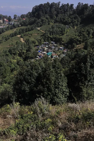 mountain village and terrace farming on slopes of himalayan foothills near darjeeling hill station in west bengal, india