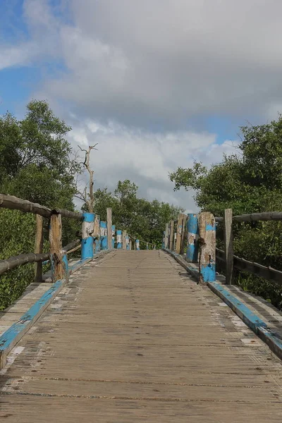 Пышные Зеленые Мангровые Леса Острове Генри Недалеко Пляжа Бакхали Sundarbans — стоковое фото