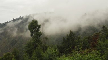 manzara manzarası, tahtırevan tepelerinin güzel manzarası (batı ghat dağlarının bir kısmı) Tamilnadu, Güney Hindistan 'daki Kodaikanal tepe istasyonunda