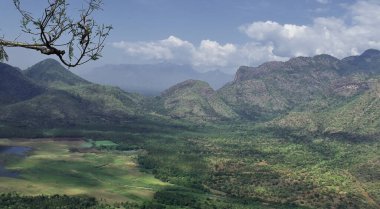 manzara manzarası, tahtırevan tepelerinin güzel manzarası (batı ghat dağlarının bir kısmı) Tamilnadu, Güney Hindistan 'daki Kodaikanal tepe istasyonunda