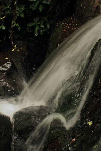 Красивый Ваттаканальный Водопад Ручей Горные Предгорья Палани Кодайканале Тамилнаду Южная — стоковое фото