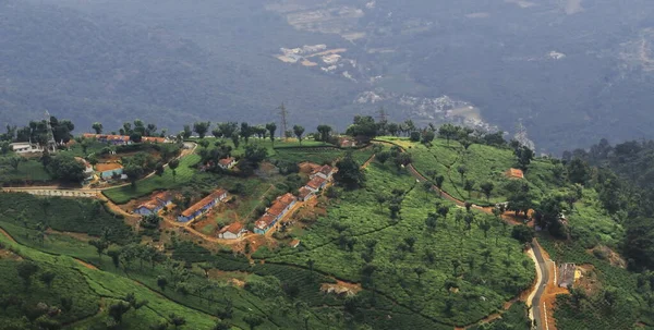 Paesaggio Panoramico Montagne Nilgiri Pedemontane Piantagione Verde Giardino Coonoor Vicino — Foto Stock