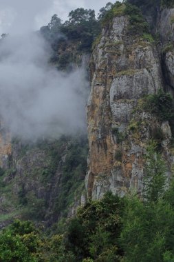 Muson mevsiminde Kodaikanal Hill İstasyonu 'ndaki Tahtırevan Tepeleri' nin bulutlu kayalık dağı Tamilnadu, Güney Hindistan