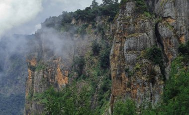 Muson mevsiminde Kodaikanal Hill İstasyonu 'ndaki Tahtırevan Tepeleri' nin bulutlu kayalık dağı Tamilnadu, Güney Hindistan