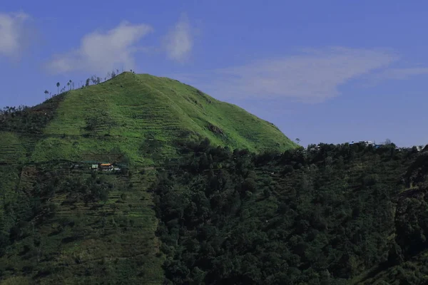 Exuberante Colina Verde Cordillera Palani Estación Kodaikanal Hill Tamilnadu Sur —  Fotos de Stock